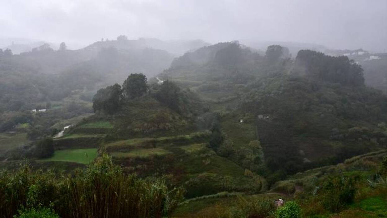 Las lluvias dan paso al mejor verde