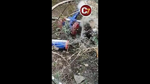 Envenenamiento masivo de animales en Tunte