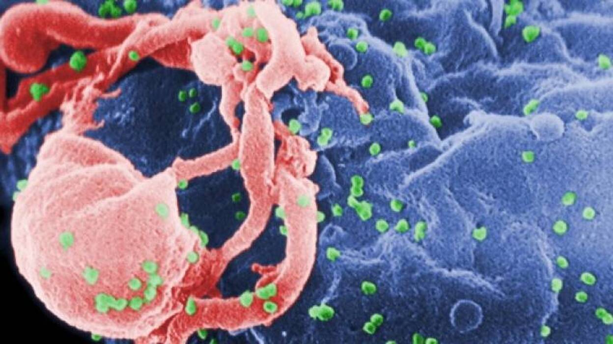 Científicos revelan una nueva y prometedora vacuna contra el VIH