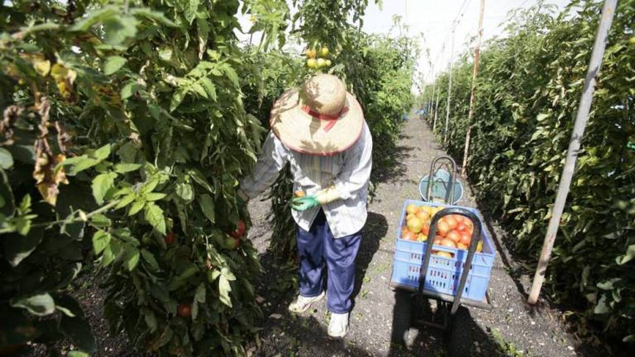 UGT pide a Clavijo que dé ya la ayuda a quienes cobran menos de 538 euros