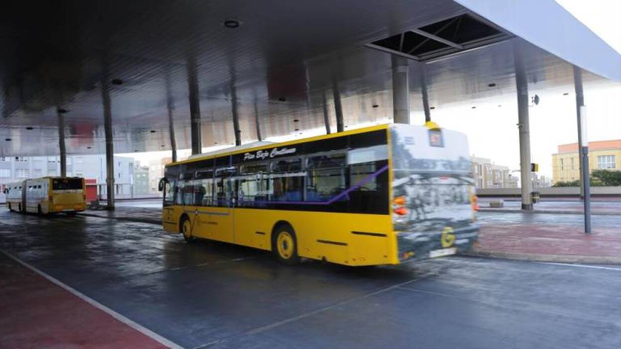 Guaguas activará cuatro nuevas líneas el próximo año en la ciudad