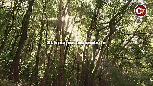 Canarias invita a descubrir sus siete 'maravillas' de naturaleza