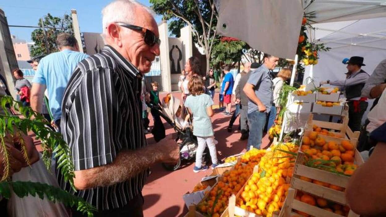 Agustín Medina cosecha la mejor naranja del municipio