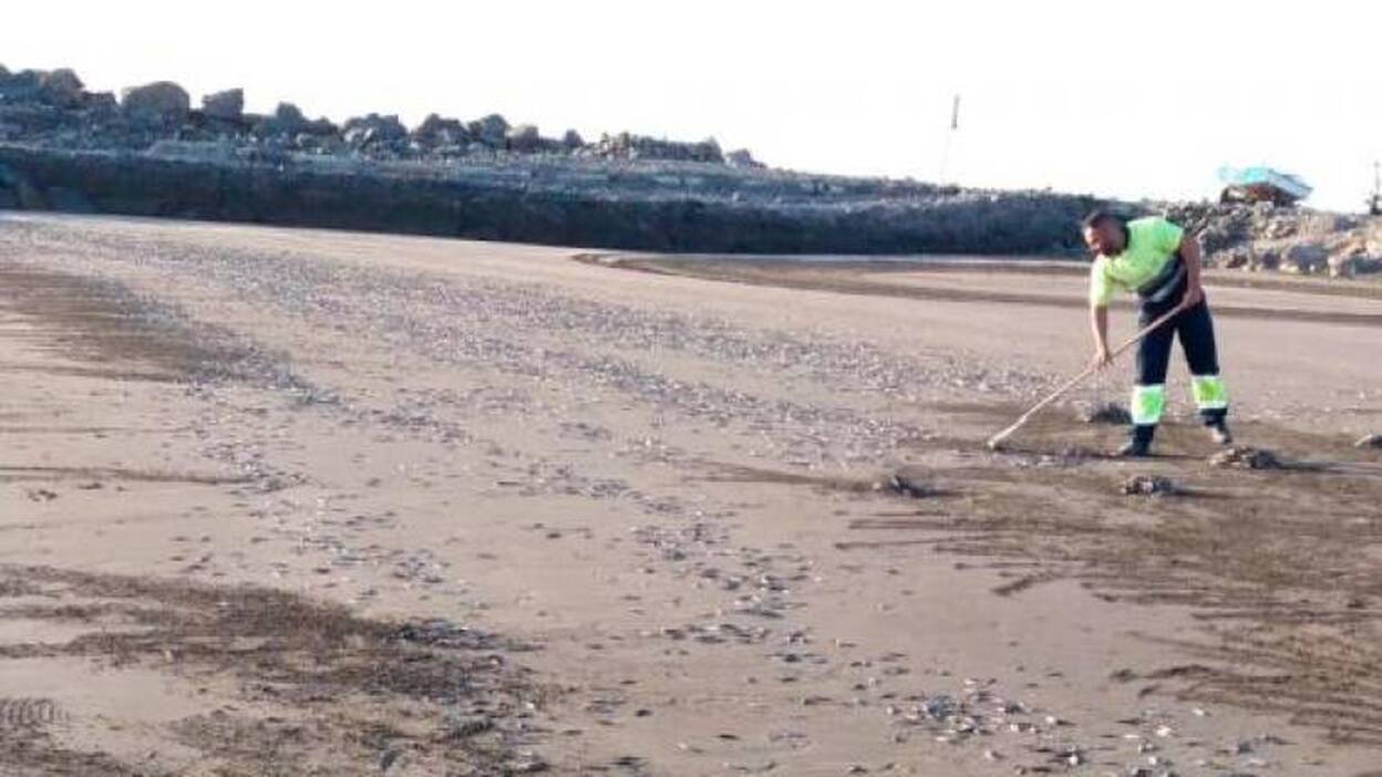 Aparecen peces muertos en Las Burras