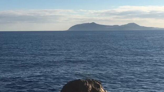 Avistan una ballena en Gran Canaria