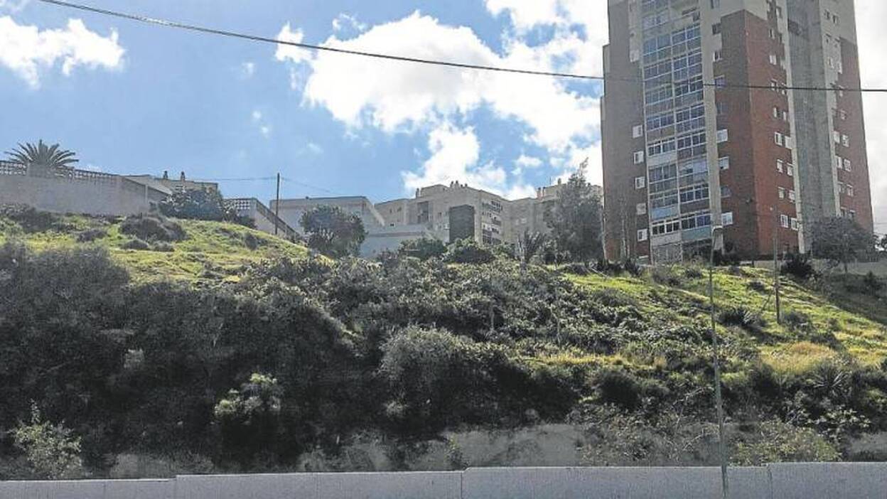 El Ayuntamiento pagó 1,8 millones por una ladera en el Valle de Jinámar