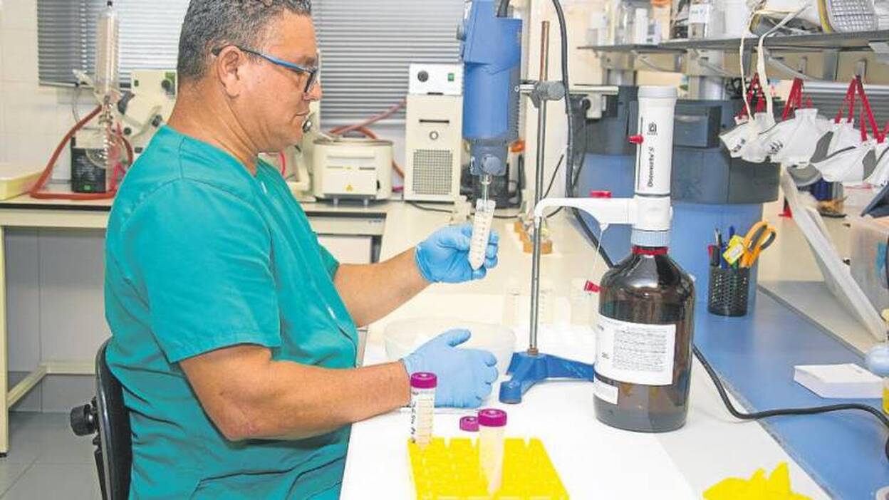 La ciguatera, una nueva enfermedad en Canarias