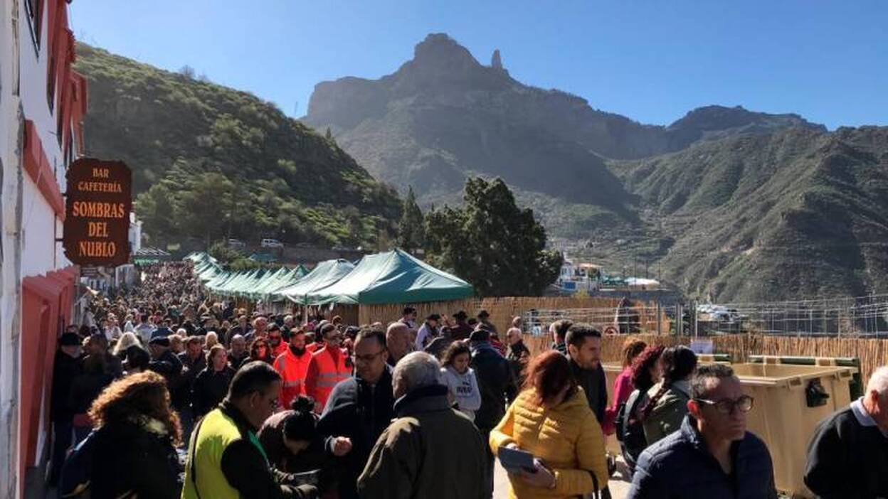 Una multitud venera al almendro en flor