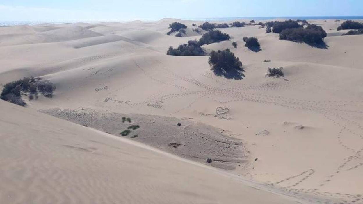 Denuncian la «alteración» de Las Dunas de Maspalomas