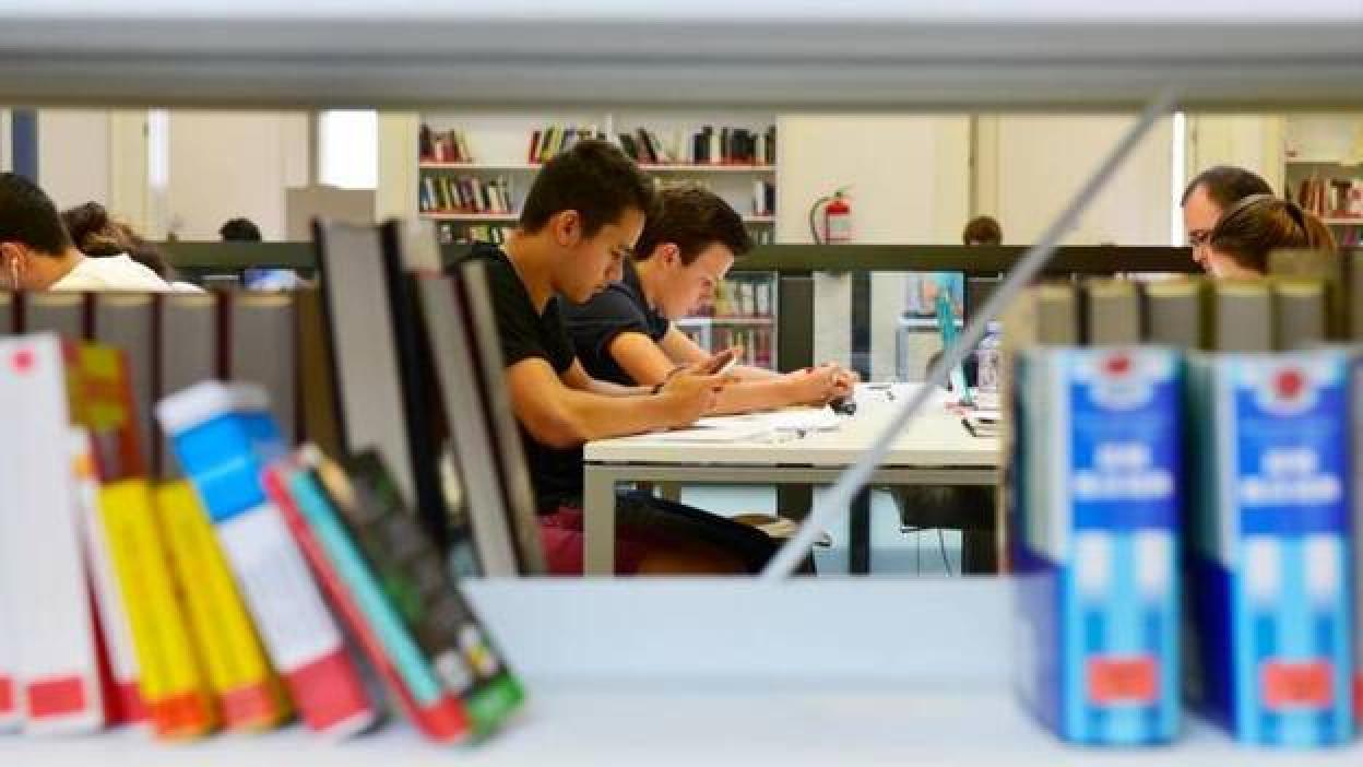 Cada municipio debe contar con una