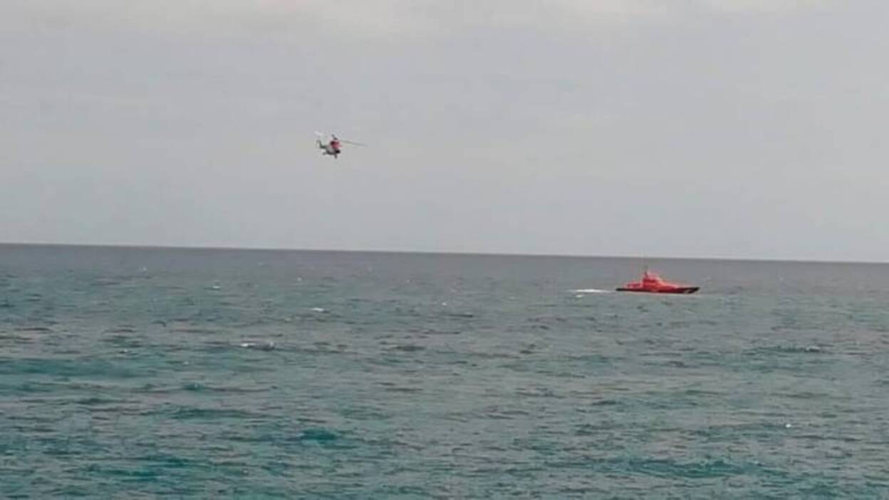 Avistan un cetáceo en La Garita