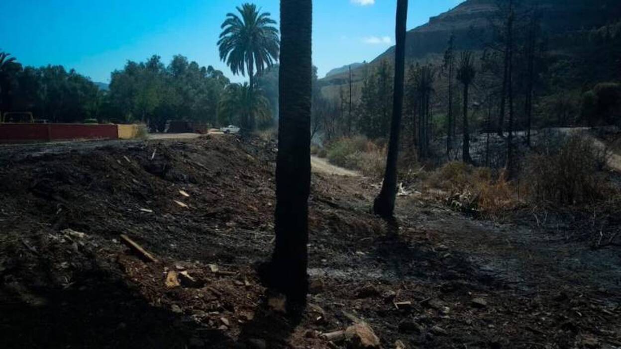 Sigue humeando un punto junto al hotel afectado por el fuego en Fataga