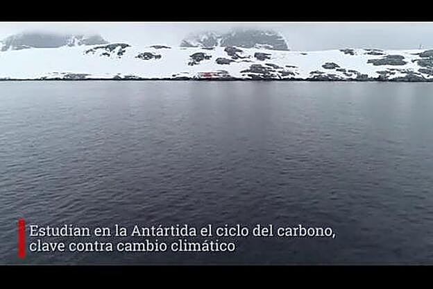 El ciclo del carbono, clave contra cambio climático