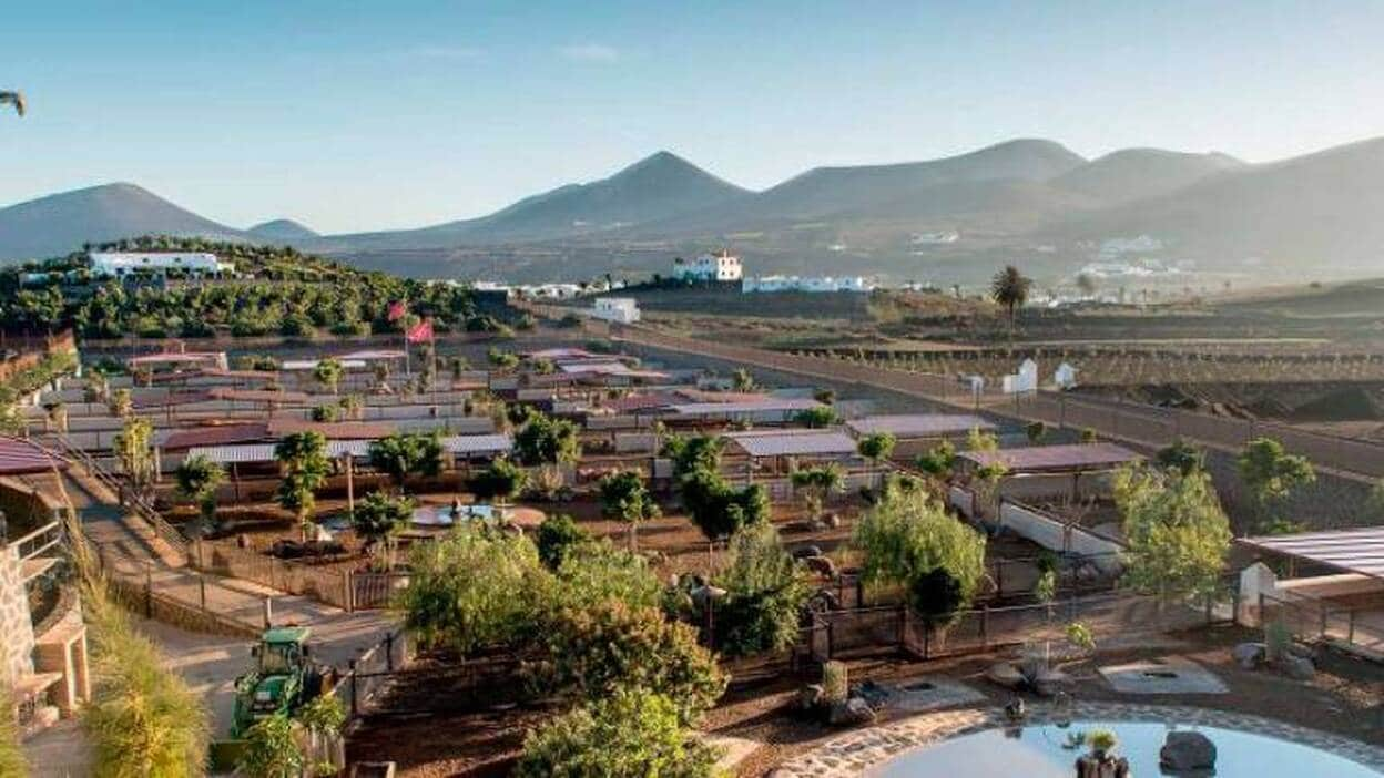 Finca de Uga y Bodega Stratvs, dos emblemas de Lanzarote