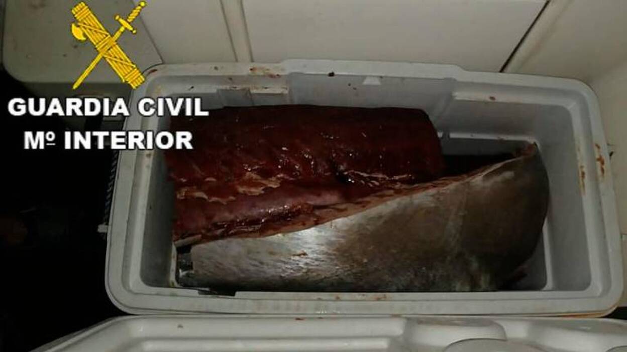 Incautan un atún rojo de una embarcación en Lanzarote