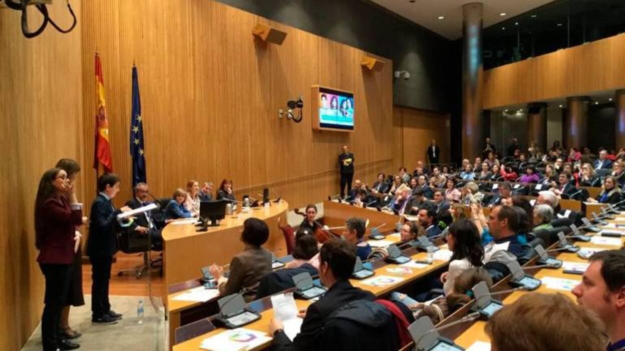 Reclaman un Plan de acción del autismo con recursos y actuaciones concretas