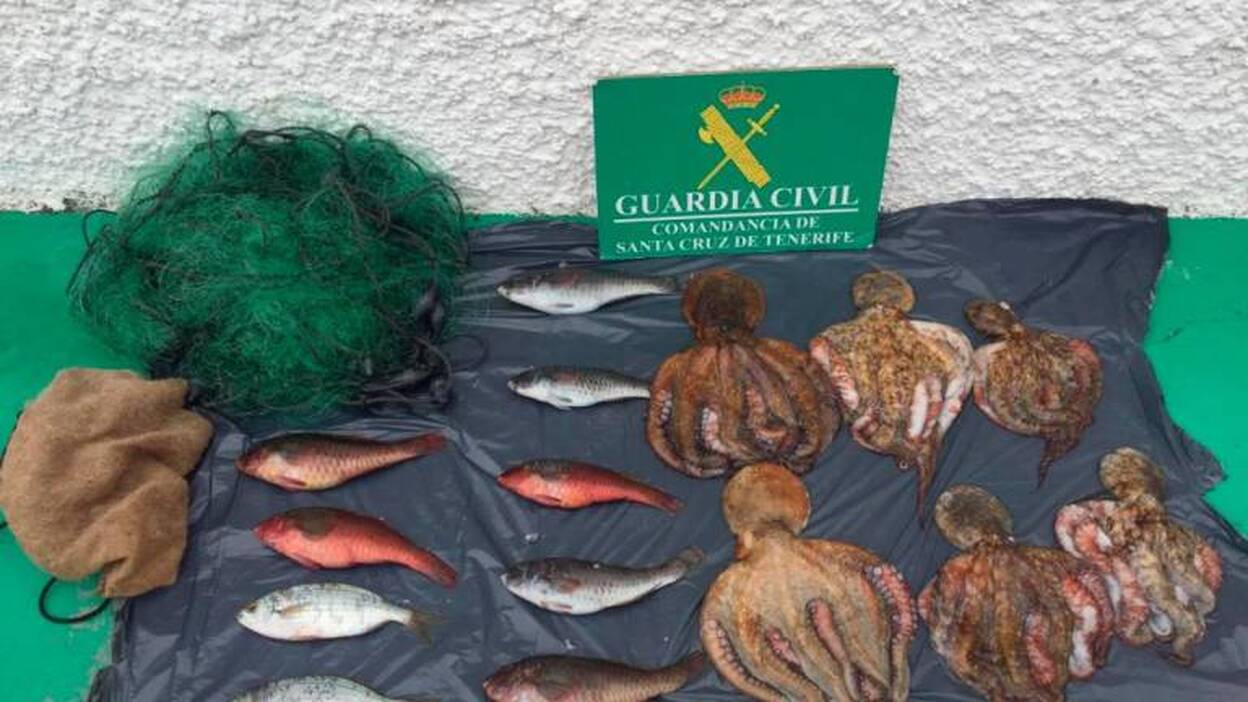 Incautados 15,2 kilos de pescado capturado de forma ilegal en Tenerife