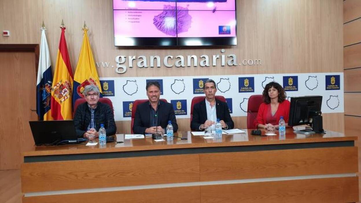 La diocalandra avanza y sube por el sur a los palmerales del interior