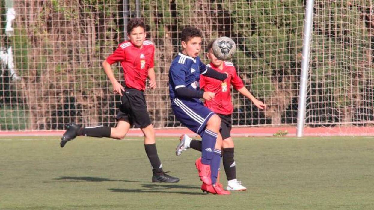 El Universitario aclara su camino