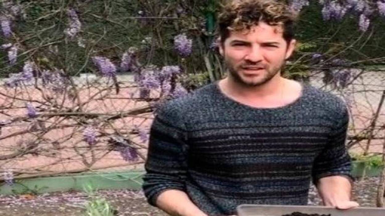 Un árbol para Matteo