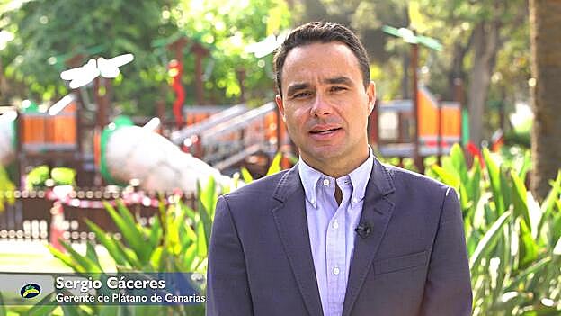 La alimentación de los comedores escolares necesita mejorar