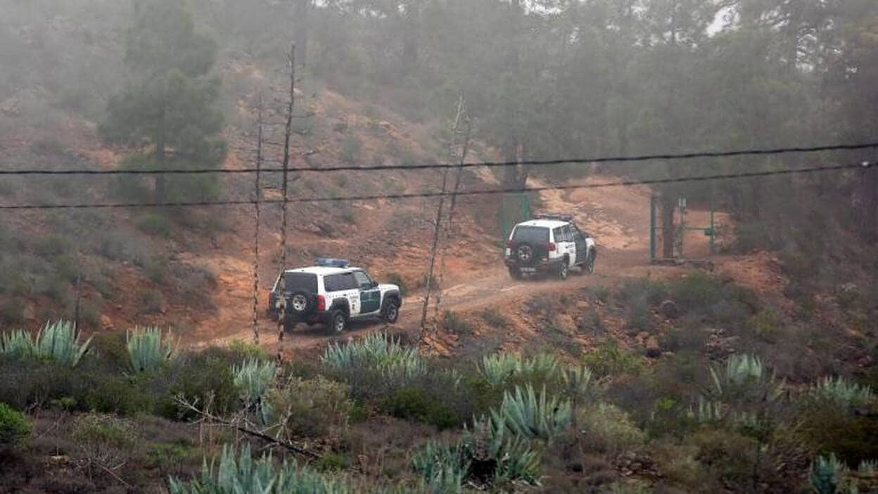 El niño que alertó del crimen de Tenerife: "Más vale la vida que los regalos"