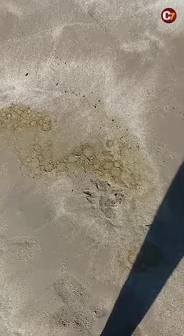 Aparecen residuos en la playa de Las Burras