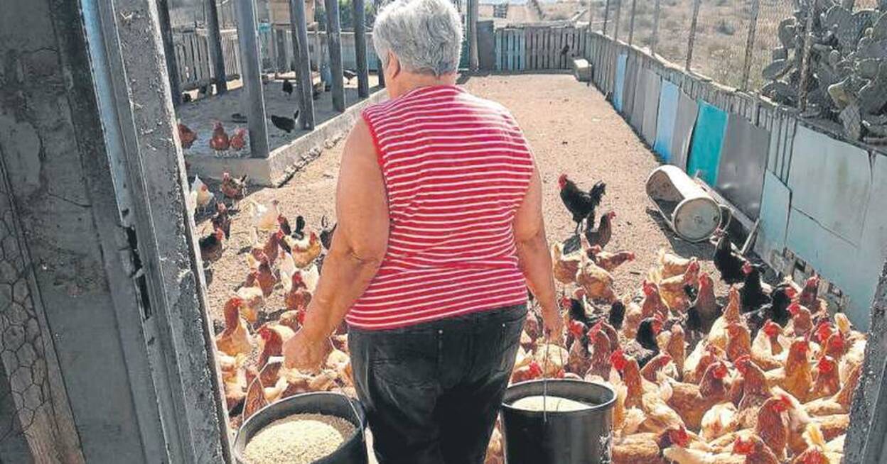 Granjera muy especial sin ganas de retiro