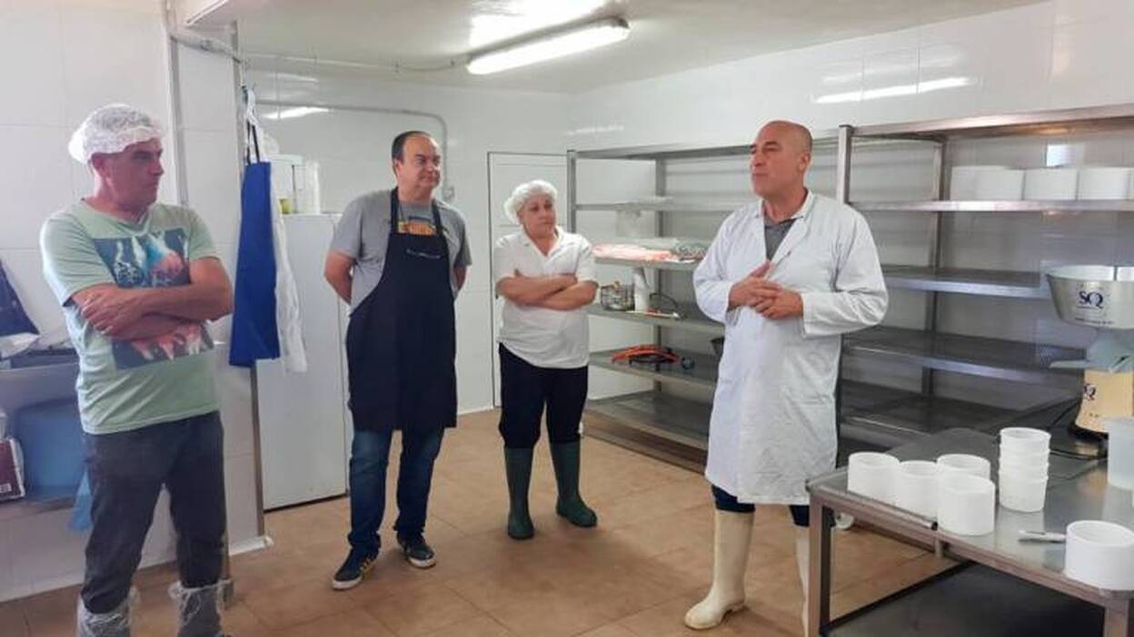 Queseros del Sur se preparan para la elaboración de yogur