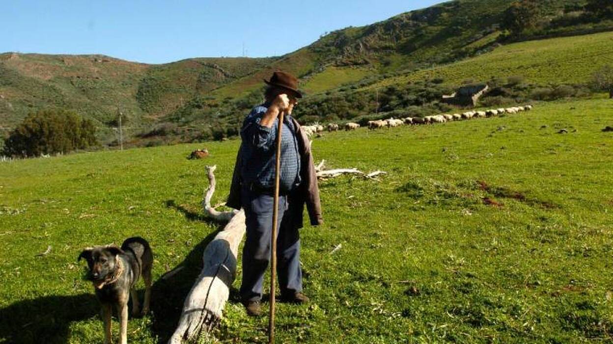 El mundo rural: vigilante de la tradición canaria