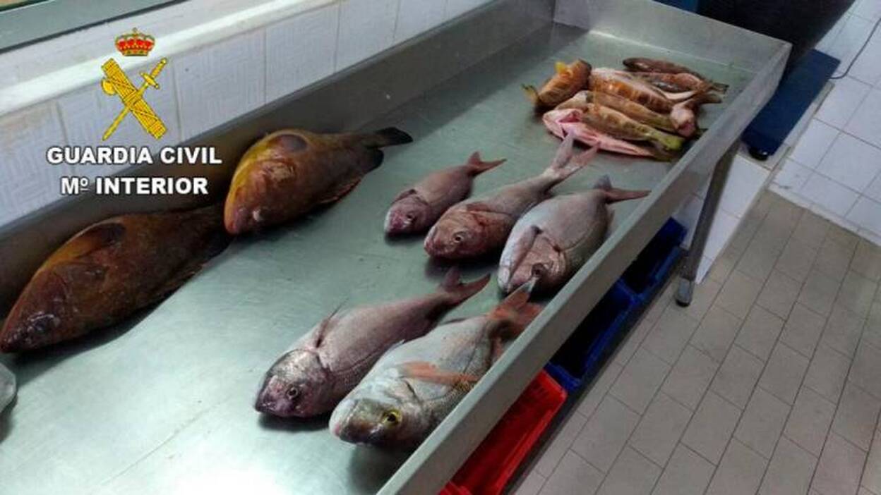 La Guardia Civil incauta 20 kilos de pescado a un furtivo en Tuineje