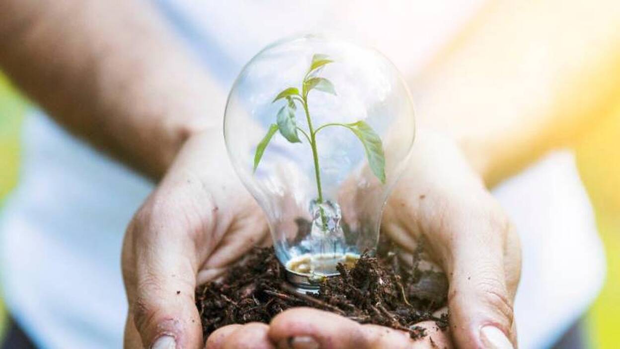 Economía circular: la segunda vida de los objetos