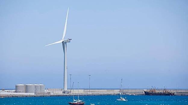 El Puerto de Arinaga cuenta con las infraestructuras adecuadas para el tráfico de graneles sólidos y ro-ro. /  C7