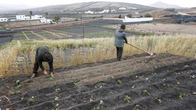 Producción ecológica de alta categoría