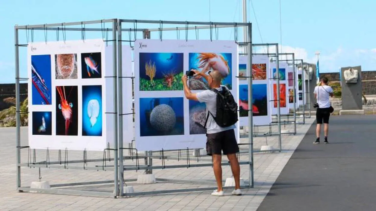 Muestra del Fotosub Mar de Lava