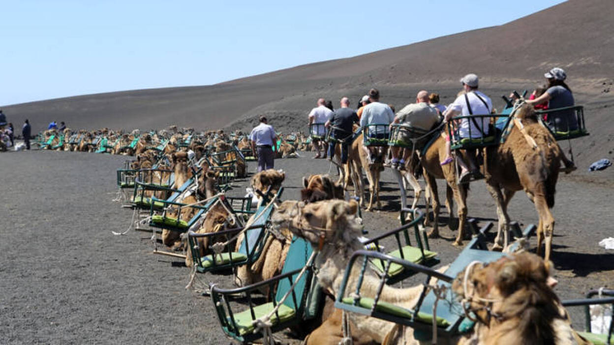 La suerte de vivir en el paraíso canario