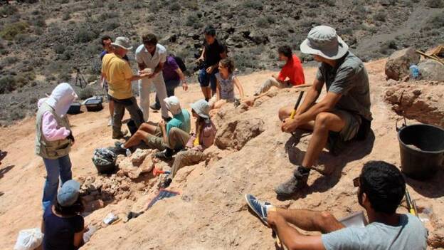 Un avestruz del Plioceno vivía en las desaparecidas islas de Famara y Ajaches