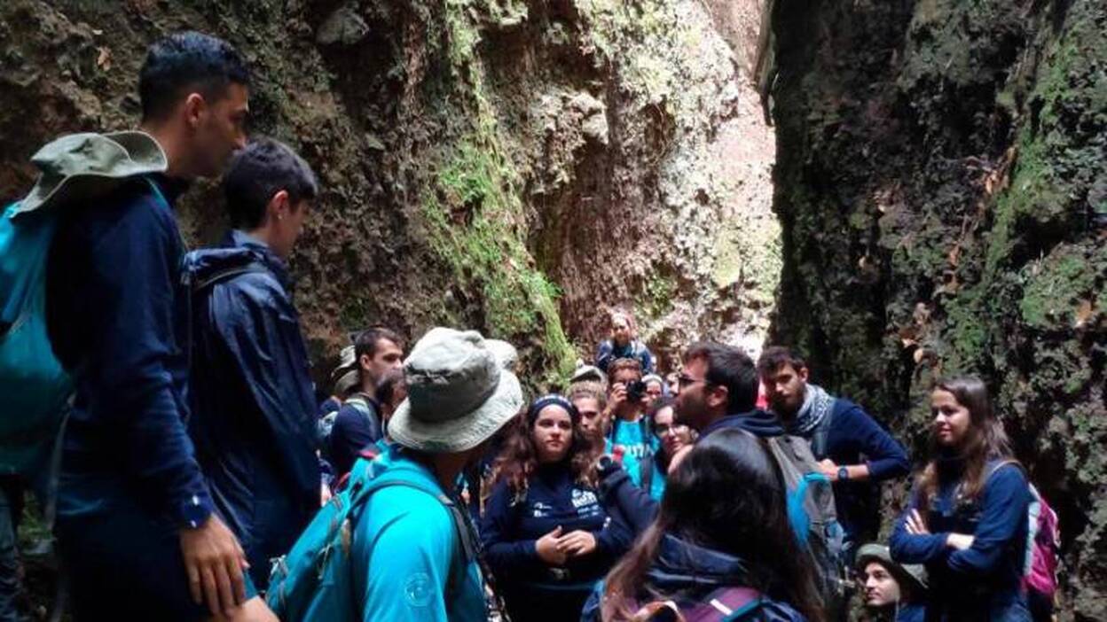 Foresta muestra el valor de los bosques grancanarios a 45 estudiantes universitarios