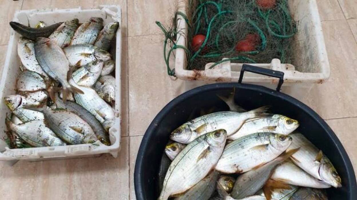 Cuatro detenidos por pesca ilegal en Lanzarote
