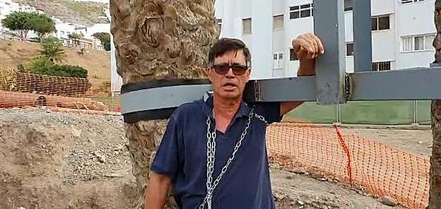 Dos ciudadanos se encadenan contra el trasplante de cinco palmeras históricas