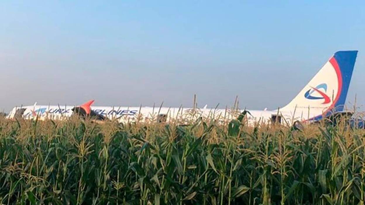 Aterrizaje de emergencia en una plantación de maíz