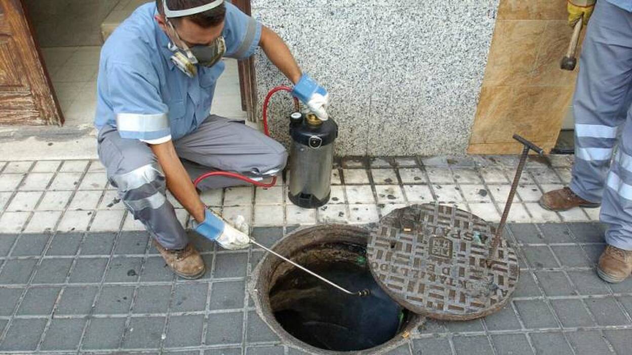 El Ayuntamiento despliega 93 acciones contra plagas al mes