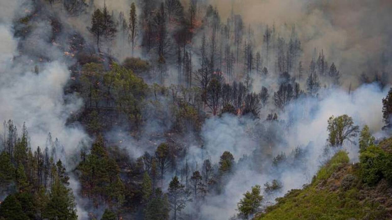 Planas conoce la evolución del incendio que afecta a Gran Canaria
