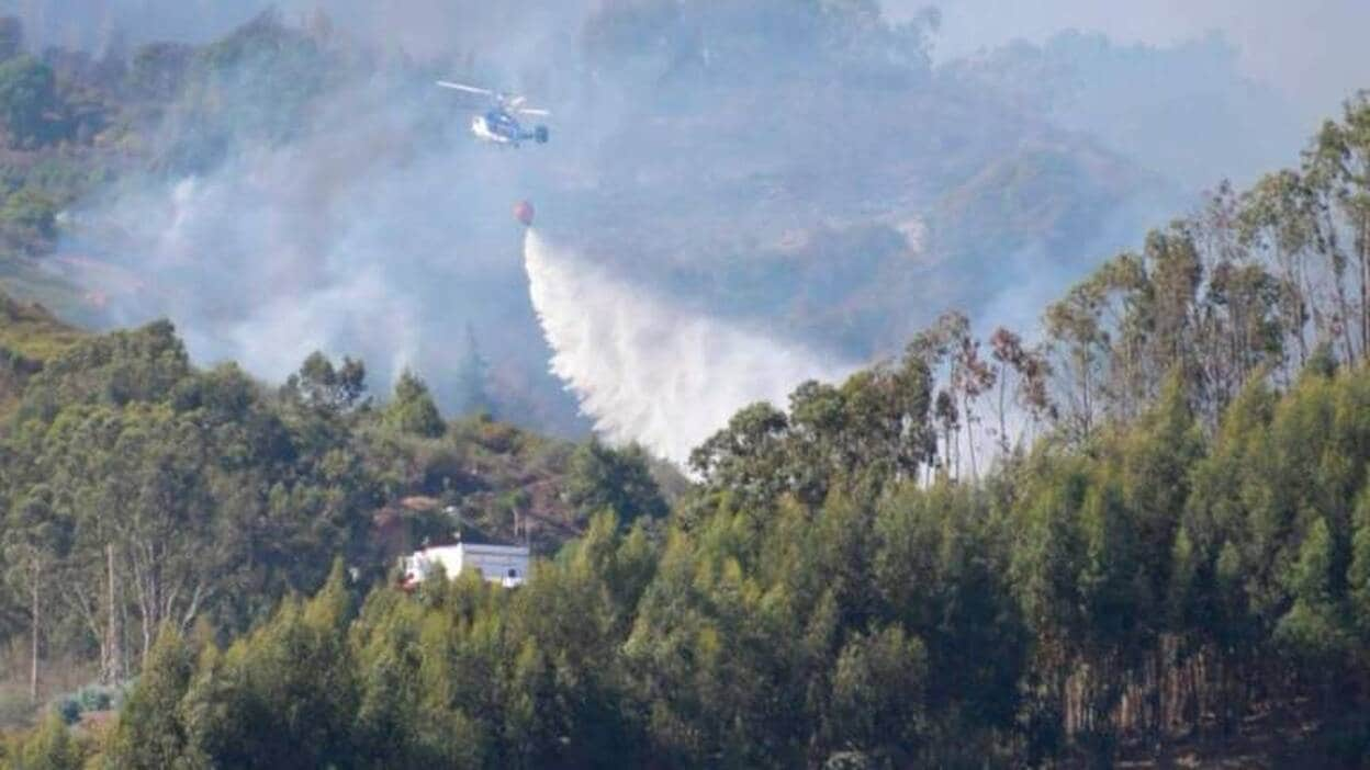 El incendio afecta a un área de 10.000 hectáreas