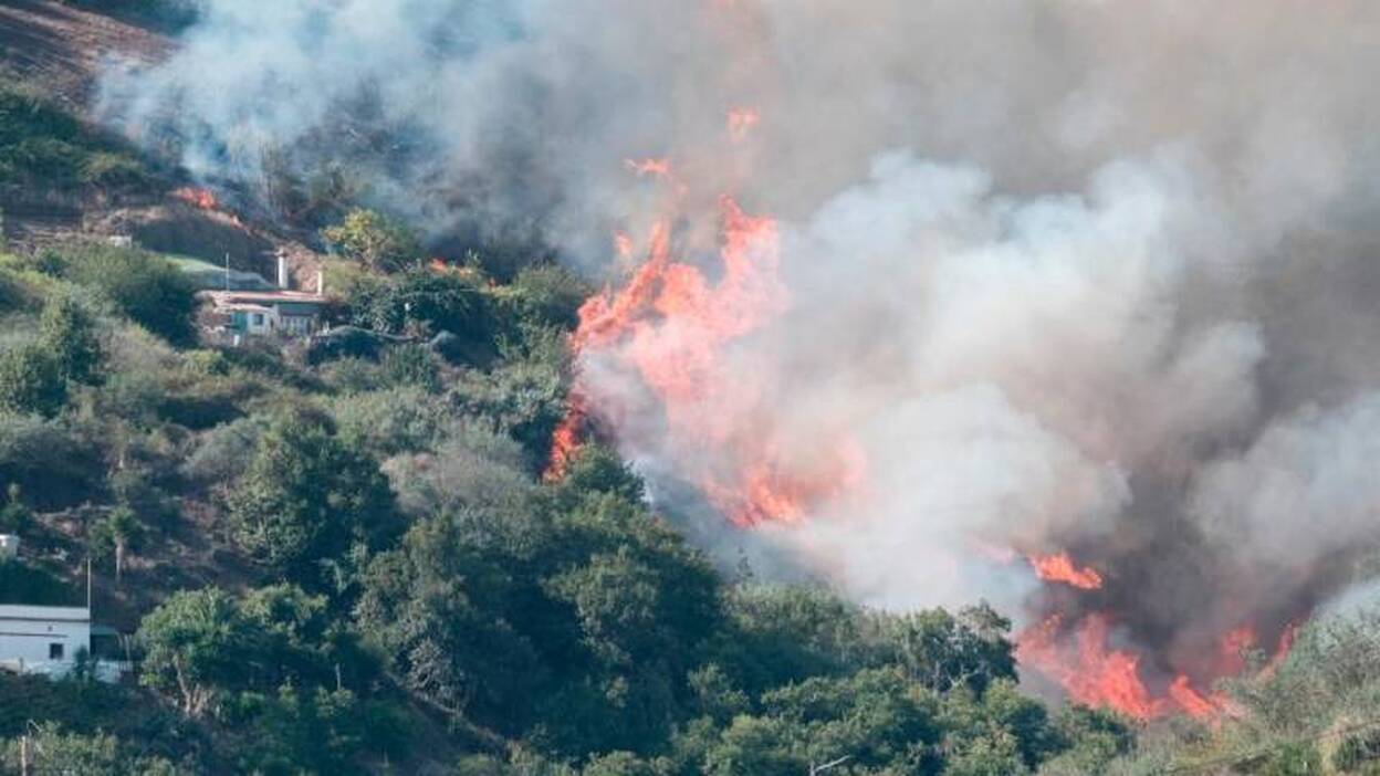 El fuego ya devora el sur