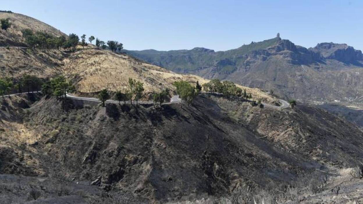 La isla recupera el pulso