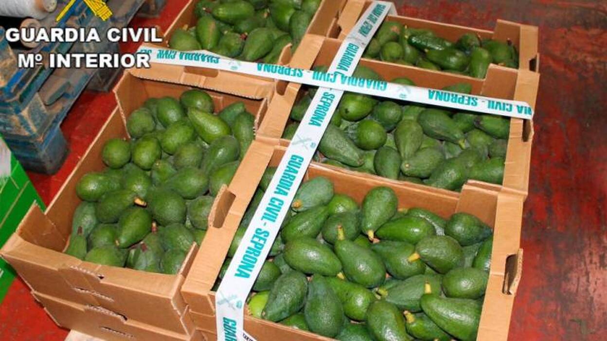 Detienen a dos personas por el robo de aguacates
