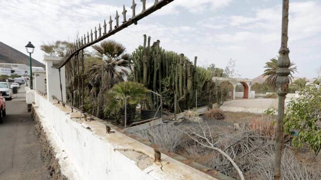 Residencia de AFA, en el aire