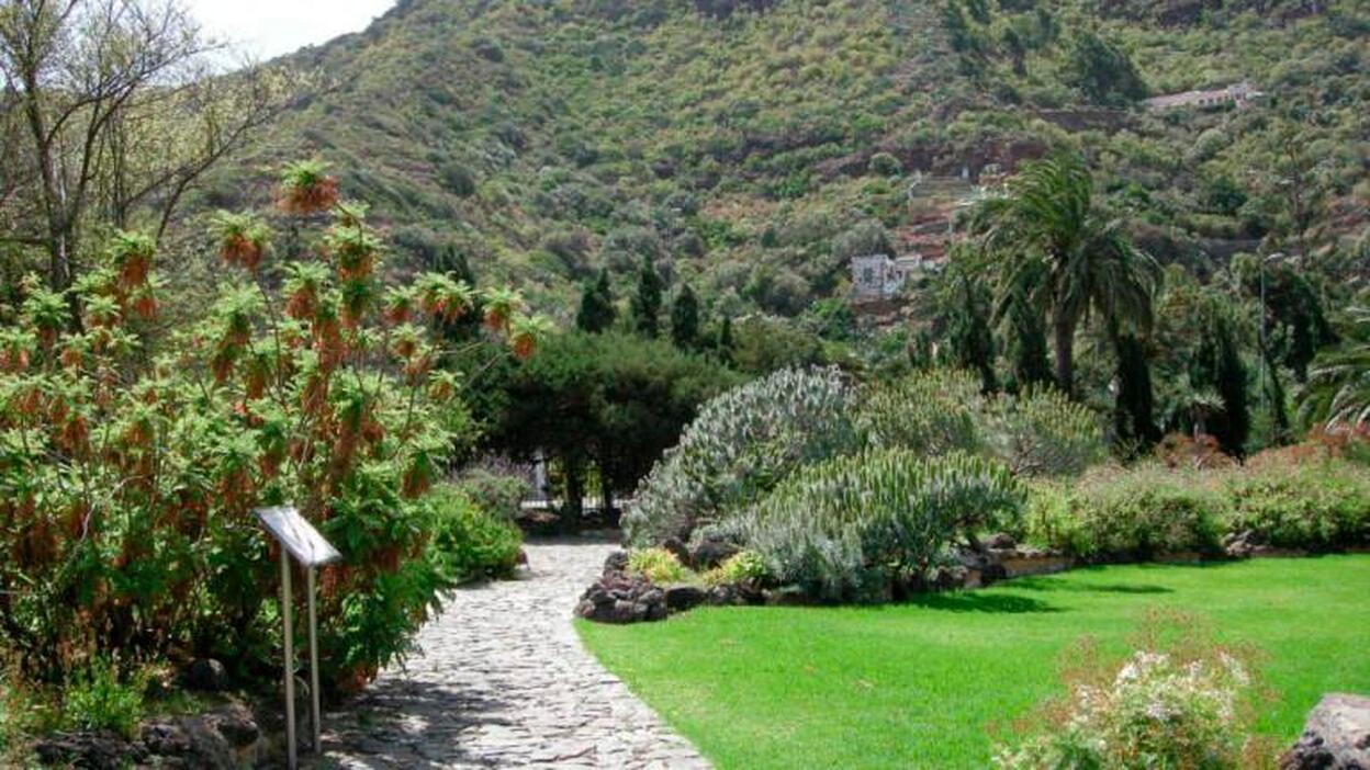 Crean una ruta turística para promocionar el patrimonio vegetal de la capital