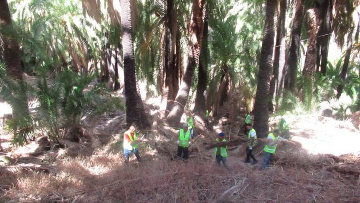 Limpieza de choque en los barrancos